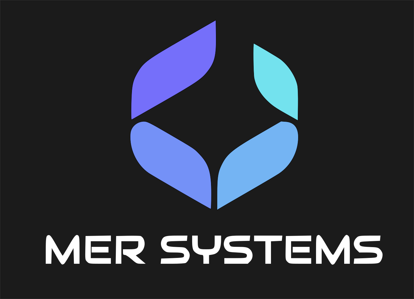 MERSystems_logo